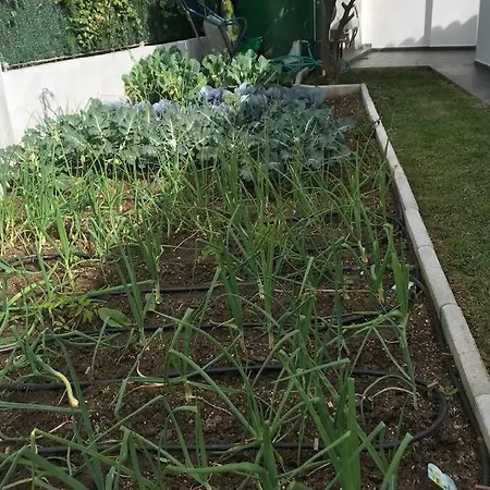 Dom wakacyjny Hoyo 19 Marbella