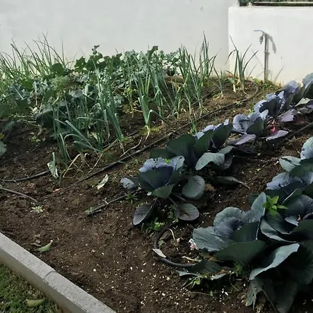 Casa vacanze Hoyo 19 Marbella