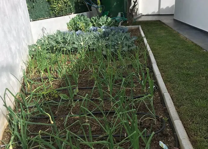 Σπίτι διακοπών Hoyo 19 Μαρμπέλλα