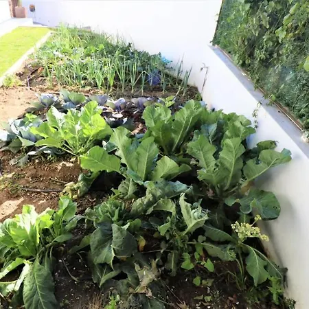 Hoyo 19 بيت للعطل ماربيا